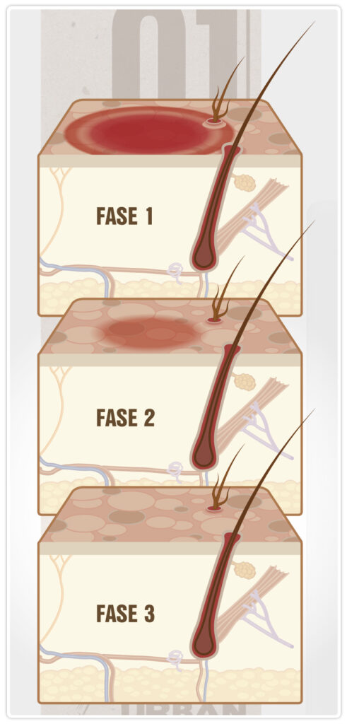 Urban Dog illustrazioni per shampoo