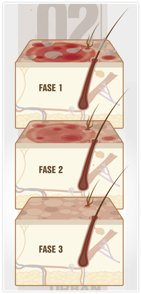 Urban Dog illustrazioni per shampoo