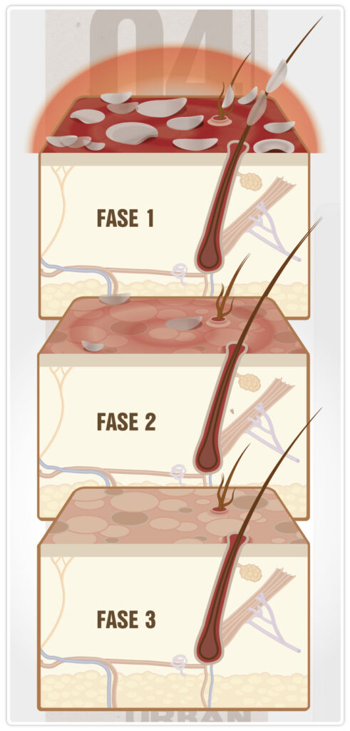 Urban Dog illustrazioni per shampoo