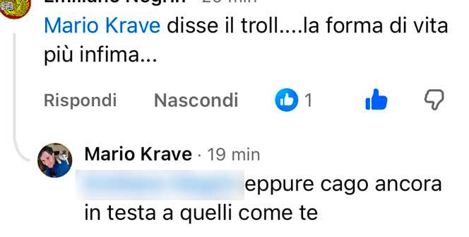 Mario Krave analfabetismo digitale analfabetismo funzionale PIAAC OCSE competenze digitali ISTAT polarizzazione disinformazione online bias di conferma guerra in Ucraina battaglione Azov
