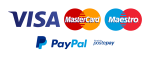 metodi di pagamento accettati